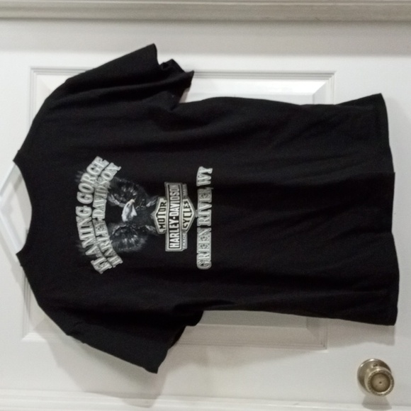 Harley-Davidson Winged 1 Black Short Sleeve Tee Men’s Large - Picture 4 of 6